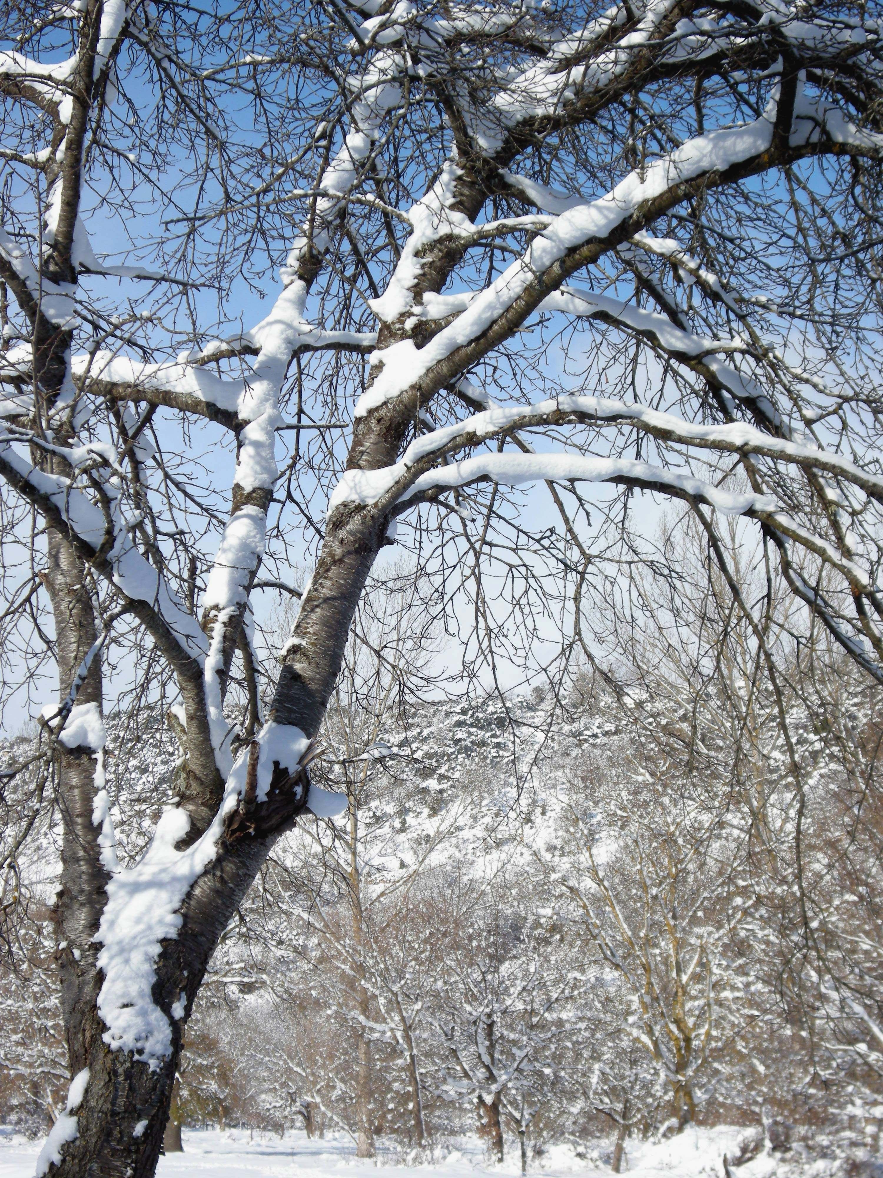Protección Civil informa de nevadas en zonas de montaña de seis provincias de la Comunidad mañana y el sábado