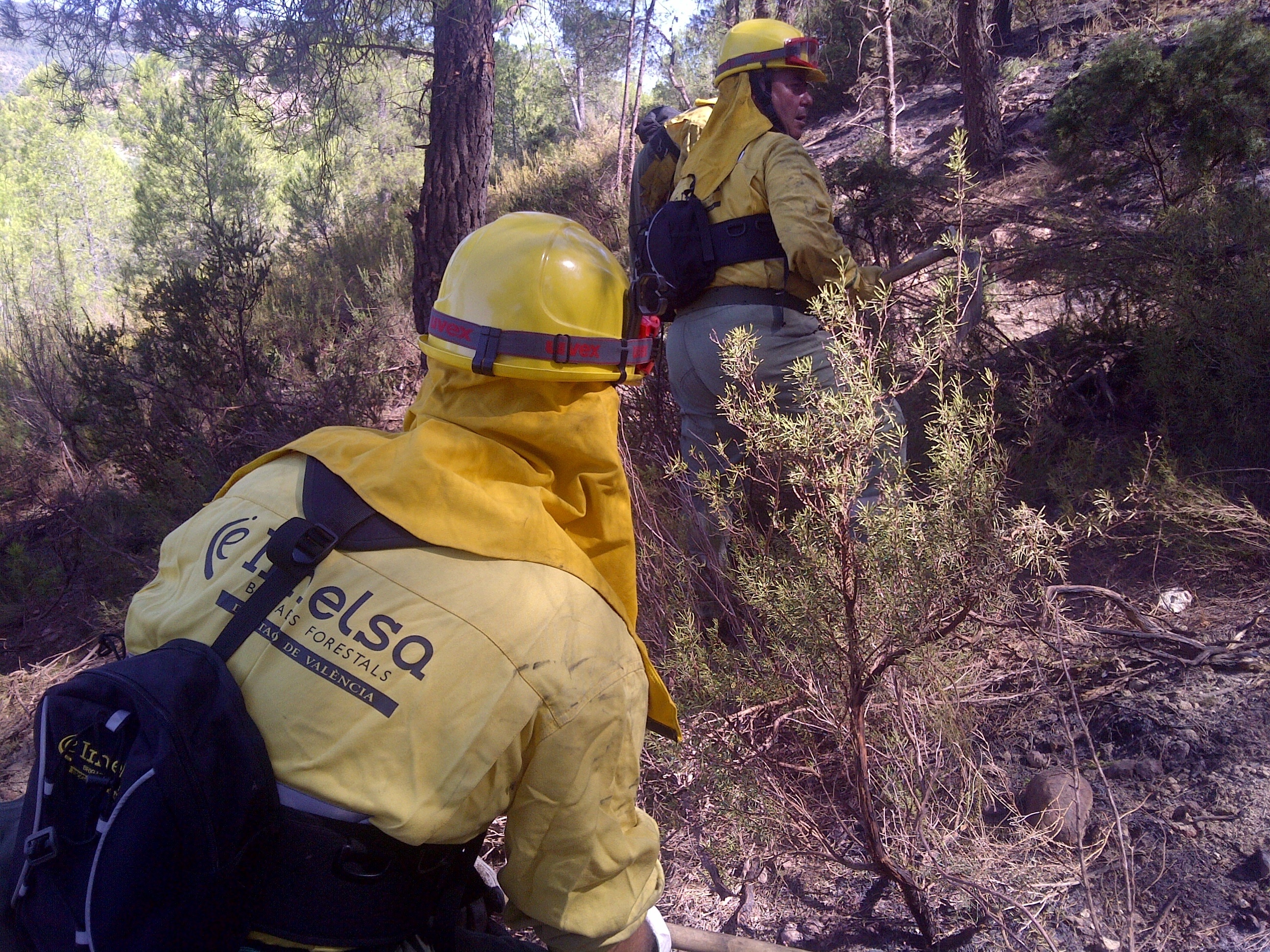 La Generalitat mantiene la preemergencia por riesgo de incendios forestales en toda la Comunitat Valenciana