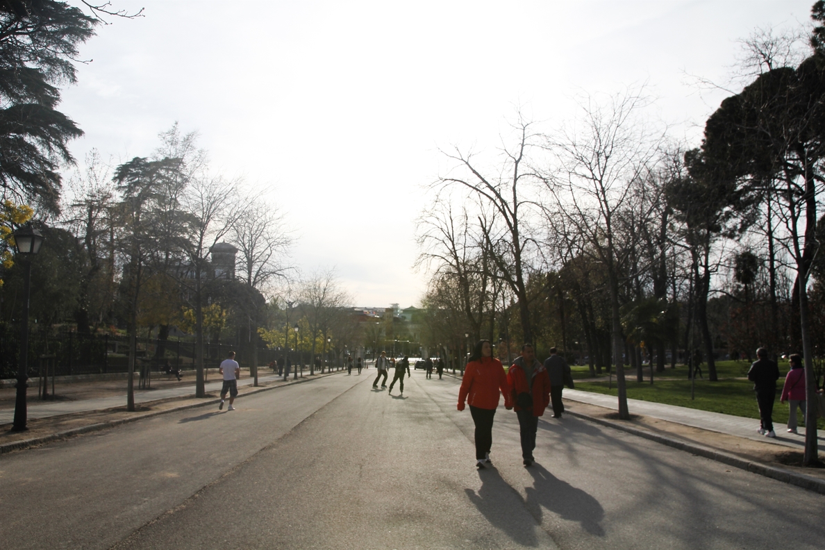 Madrid es la capital europea con más árboles, con cerca de 300.000 |  Teinteresa
